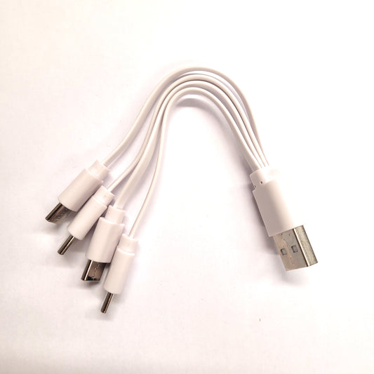 Câble USB-C pour piles rechargeables