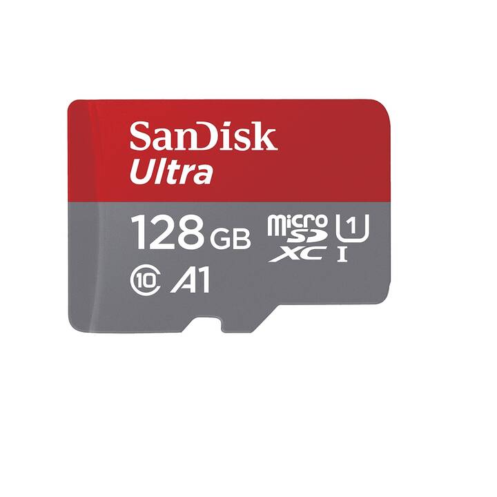 scheda microSD
